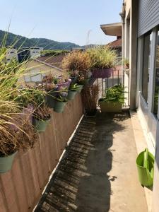 Appartements T2 neuf tout equipe de 65 m2 climatise + balcon : photos des chambres