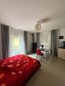 ANK -HOME i PRESIDENT- NIK