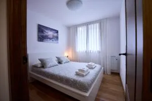 Ainet Rural Mountain - Areu