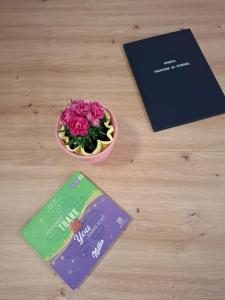 Spa Cottage the Moon house Terme Čatež 