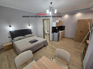 Deluxe Double or Twin Room room in Apartamenty Pokoje DreamZone