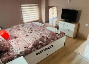 Апартамент за гости Николови - Negotin