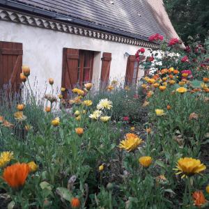 Maisons de vacances L-oree du bois : photos des chambres