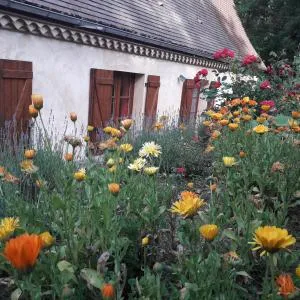 L'orée du bois - La Fournerie