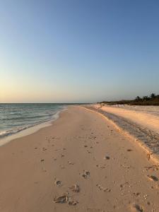 Beachfront department Celestun