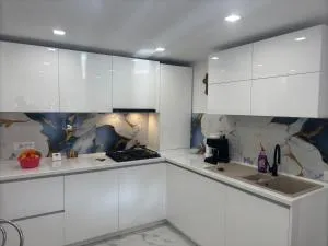 OliverHouse - 古拉哈莫卢洛伊