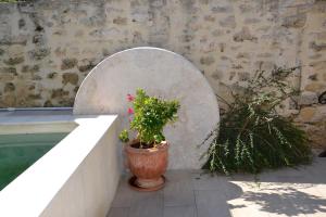 Maisons de vacances Maison de Charme, patio et piscine, wifi : photos des chambres