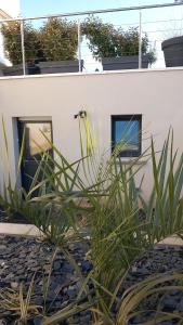 Appartements L-Oasis : photos des chambres