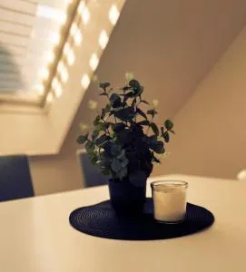 Wohnung in stilvoller Atmosphäre, Nähe Stuttgart - Metterzimmern