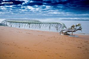 Campings Mobilhome 3 Chambres 2 Salle de Bain : photos des chambres