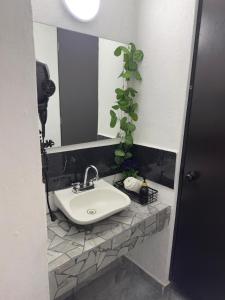 Departamento completo a minutos de playas y plazas comerciales Vanhoa