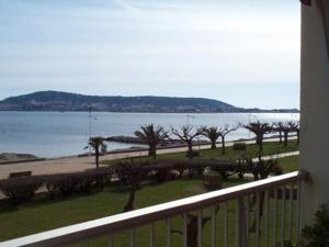 Appartement cosy face étang de Thau, animaux admis - FR-1-503-81