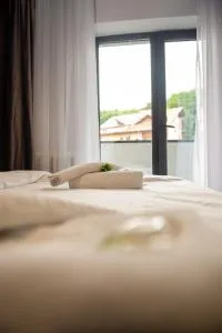 Old Country Sight - Băcel