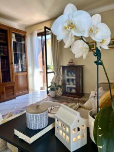 Casa Lorenzo Vicopisano