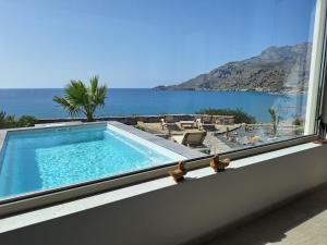 Evgoro - Infinite View