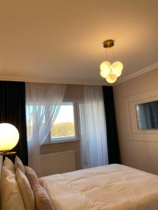 Steaua ALBA CAROLINA