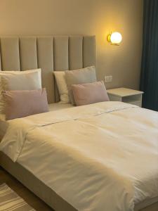 Steaua ALBA CAROLINA