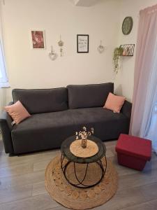 Apartman Roko