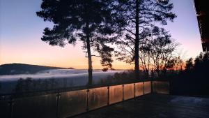Chalets Le Chalet du Haut du Bout : photos des chambres