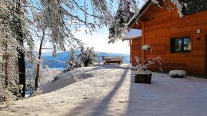 Chalets Le Chalet du Haut du Bout : photos des chambres