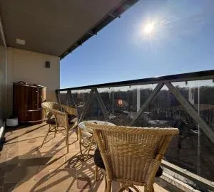 Sky-High Sauna Retreat Penthouse with City Views - أدازي