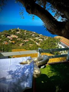 Villa amar panorama con idromassaggio img16