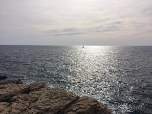 Studio Apartment Minerva Liznjan