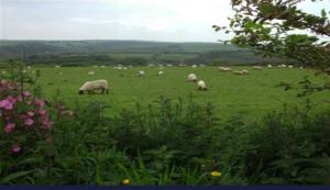 Penstowe holiday park 14 The Manor Lodge