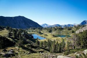 Appartements Saint Lary au pied des pistes alt 1700m : Appartement 1 Chambre