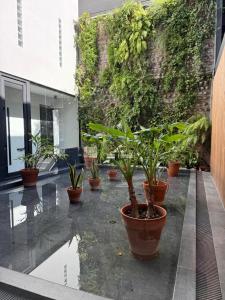 Nuevo depto full amenities divino!