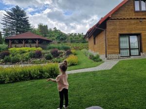 Bieszczady Domek u Pączka