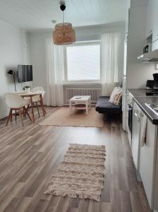 Väinö Apartment 13