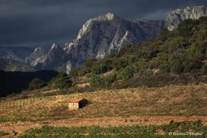 Maisons de vacances Les Violettes : photos des chambres