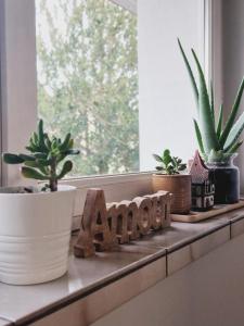 La Maison des Petits Bonheurs