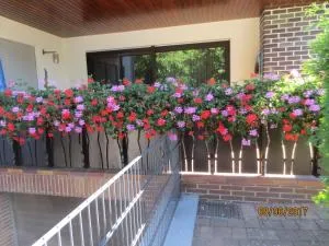 Ferienwohnung Hildenbrand - Adenbach