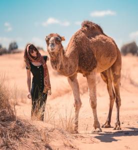 Dar Menorca - Ubytování bez kategorie ve městě Merzouga