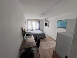 Zentrale 1-Zimmer-Wohnung Marzili Bern - Liebefeld