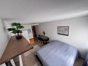 Zentrale 1-Zimmer-Wohnung Marzili Bern