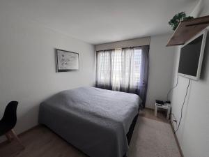 Zentrale 1-Zimmer-Wohnung Marzili Bern