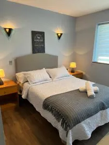 Hotel Nova Vida - 洛斯安赫莱斯