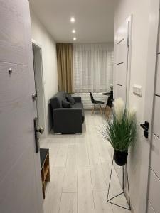 Charming One Bedroom Apartment