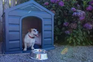 Lovely Pet Friendly Townhouse - Lake Coleridge