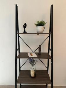 Estudio - Roof Garden en Tula