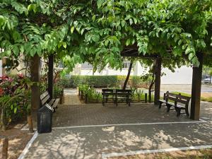 Minha Praia - Linda Piscina