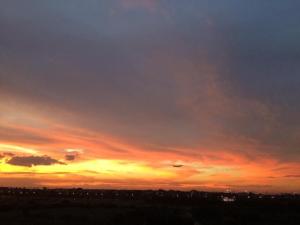 Field Residence Staycation