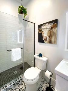 Downtown Boulder Luxury