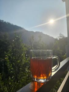 Nutmeg shades Munnar