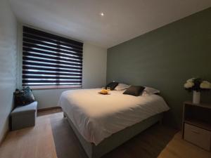 Villa dException avec Hammam et Sauna à Saint-Brevin-l’Océan - FR-1-364-179