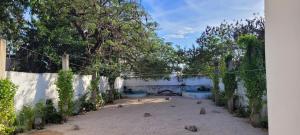 Pakáal Muliix - Naranjo