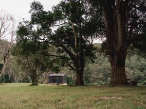 Wild & Secluded Off-Grid Cabin Retreat - Heike